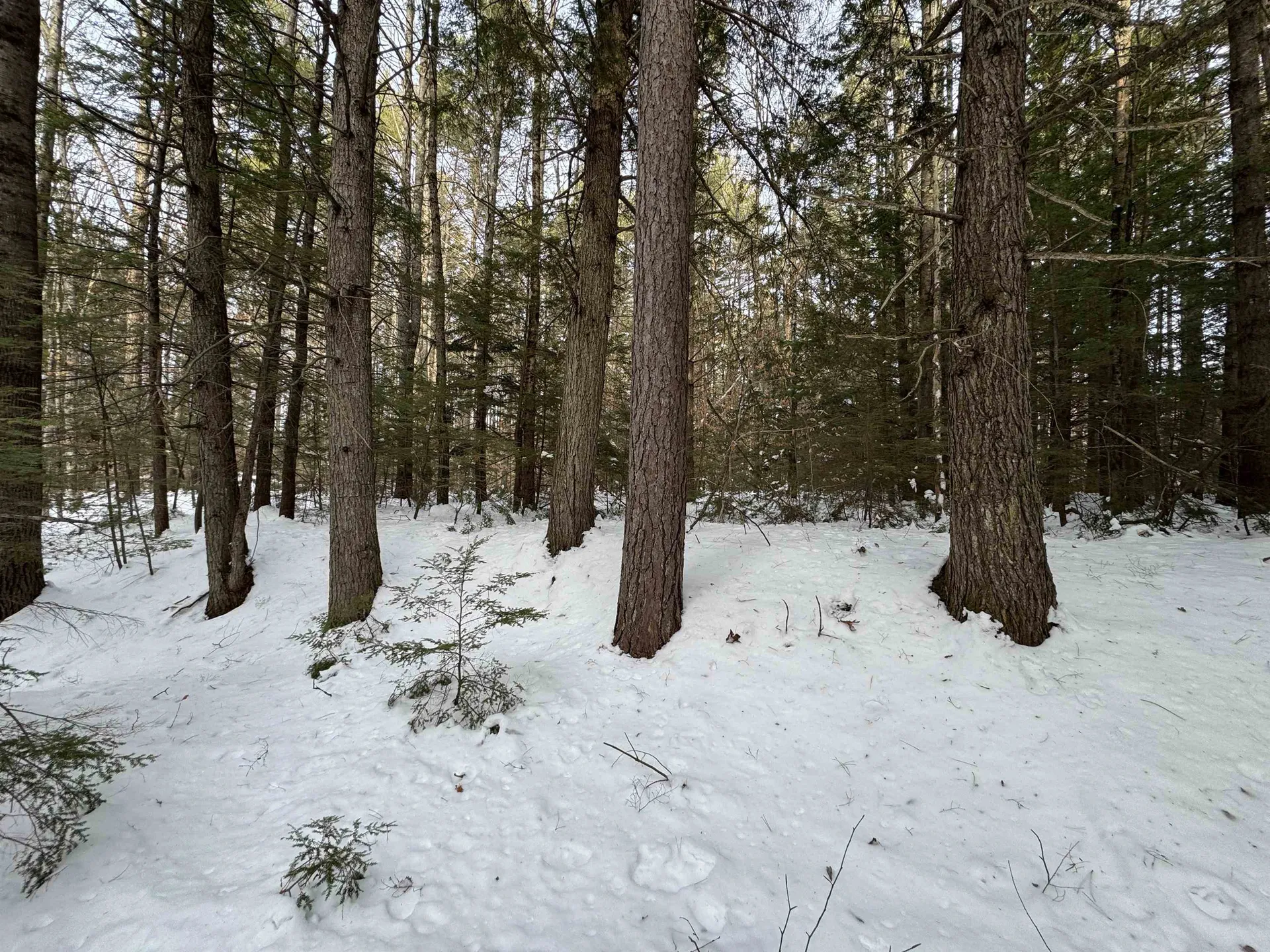 00 Route 25 W Tamworth NH 03883