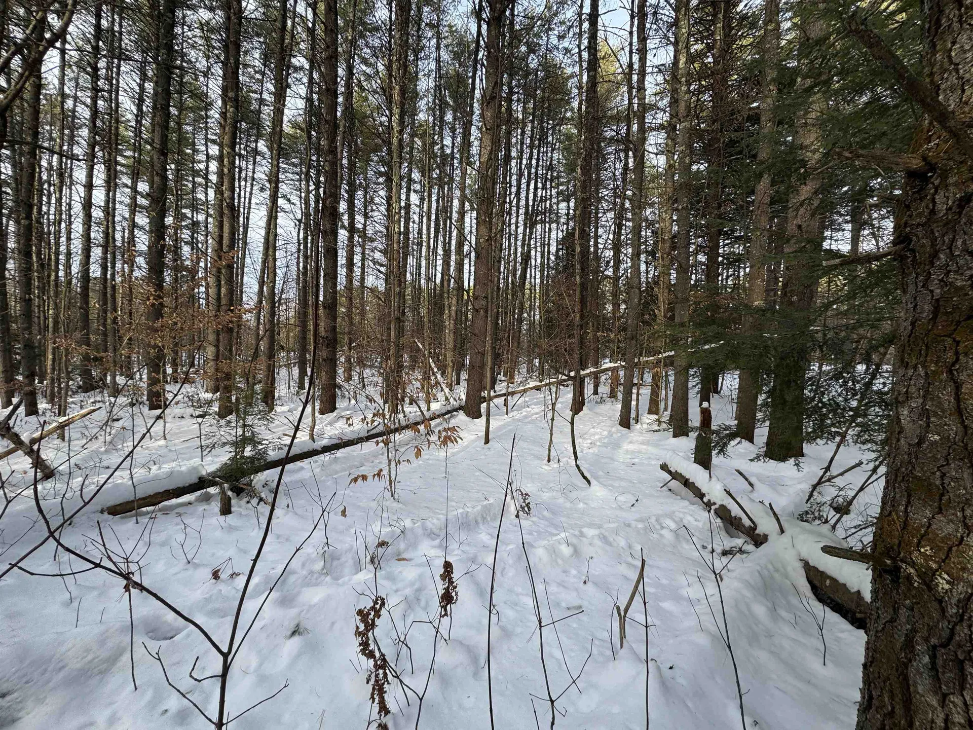 00 Route 25 W Tamworth NH 03883