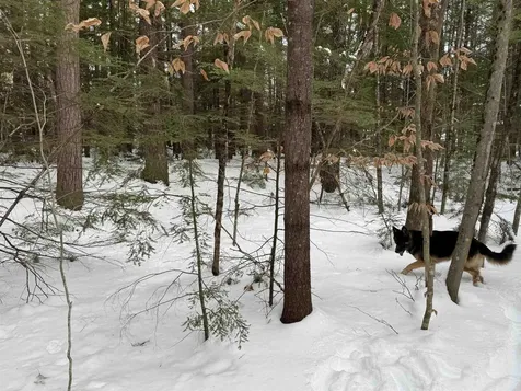 00 Route 25 W Tamworth NH 03883