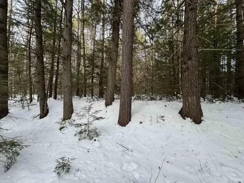 00 Route 25 W Tamworth NH 03883