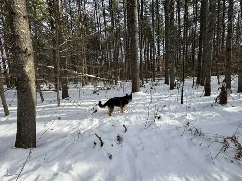 00 Route 25 W Tamworth NH 03883