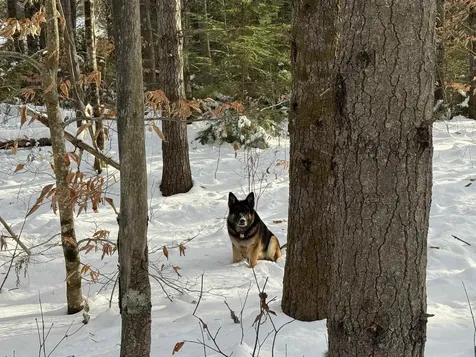 00 Route 25 W Tamworth NH 03883