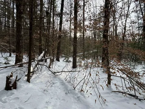 00 Route 25 W Tamworth NH 03883