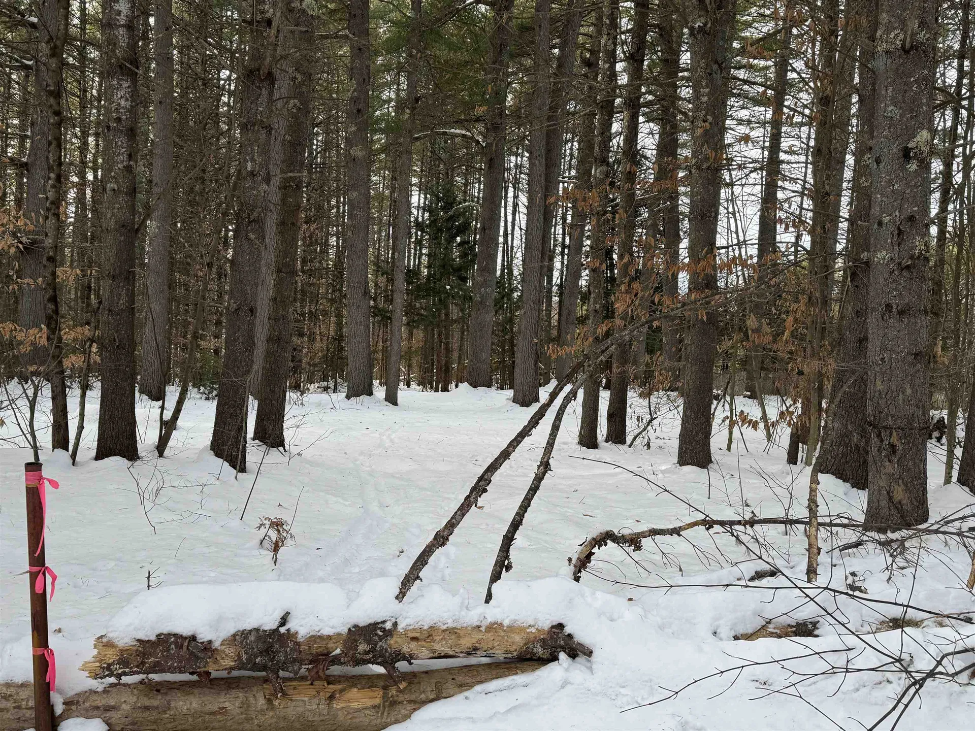 68 Gilman Valley Road Tamworth NH 03883