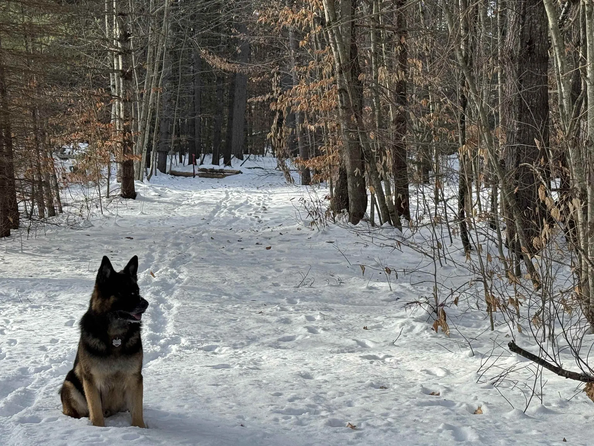 68 Gilman Valley Road Tamworth NH 03883