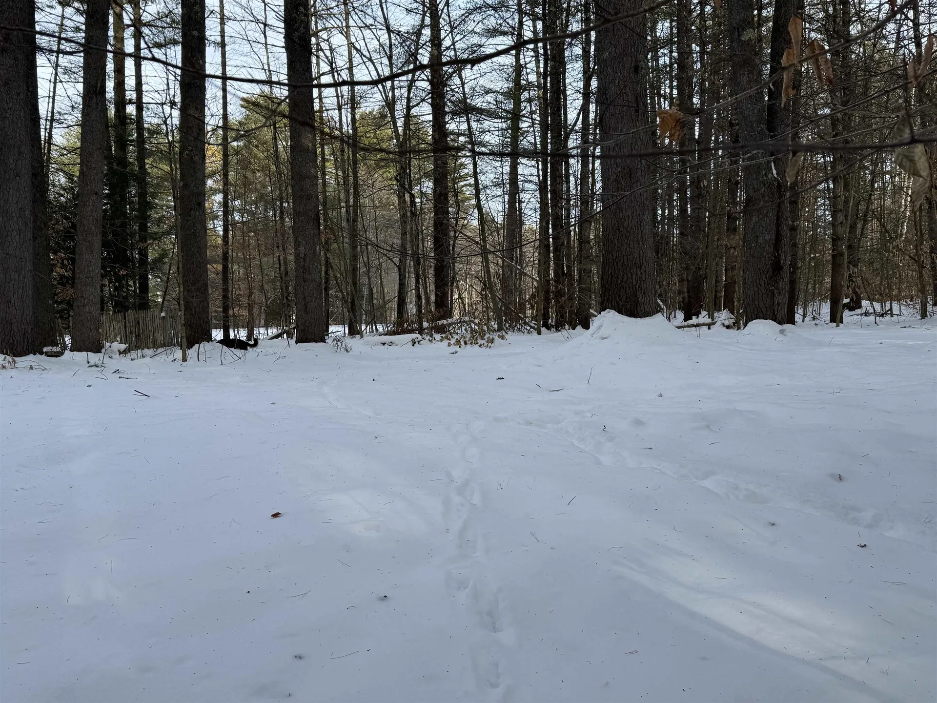 68 Gilman Valley Road Tamworth NH 03883