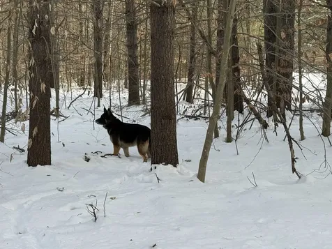 68 Gilman Valley Road Tamworth NH 03883