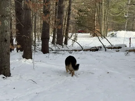 68 Gilman Valley Road Tamworth NH 03883