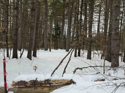 68 Gilman Valley Road Tamworth NH 03883