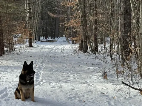 68 Gilman Valley Road Tamworth NH 03883