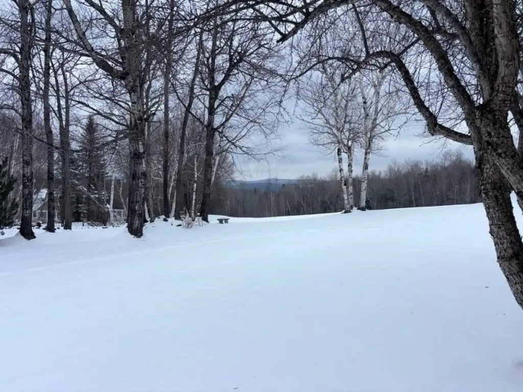 195 Mann Road Wilmington VT 05356