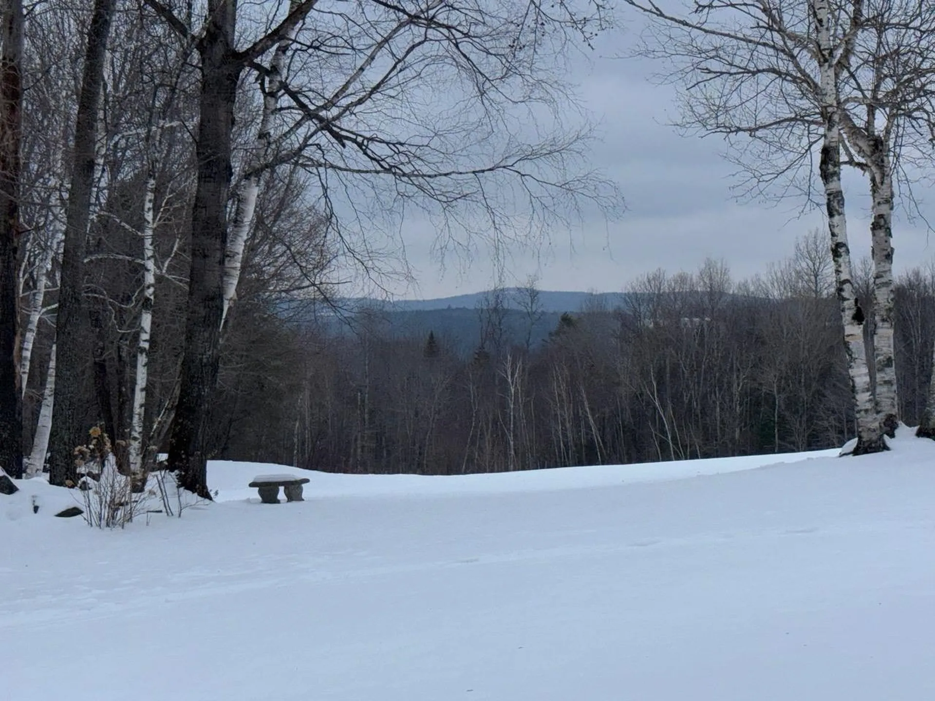 195 Mann Road Wilmington VT 05356