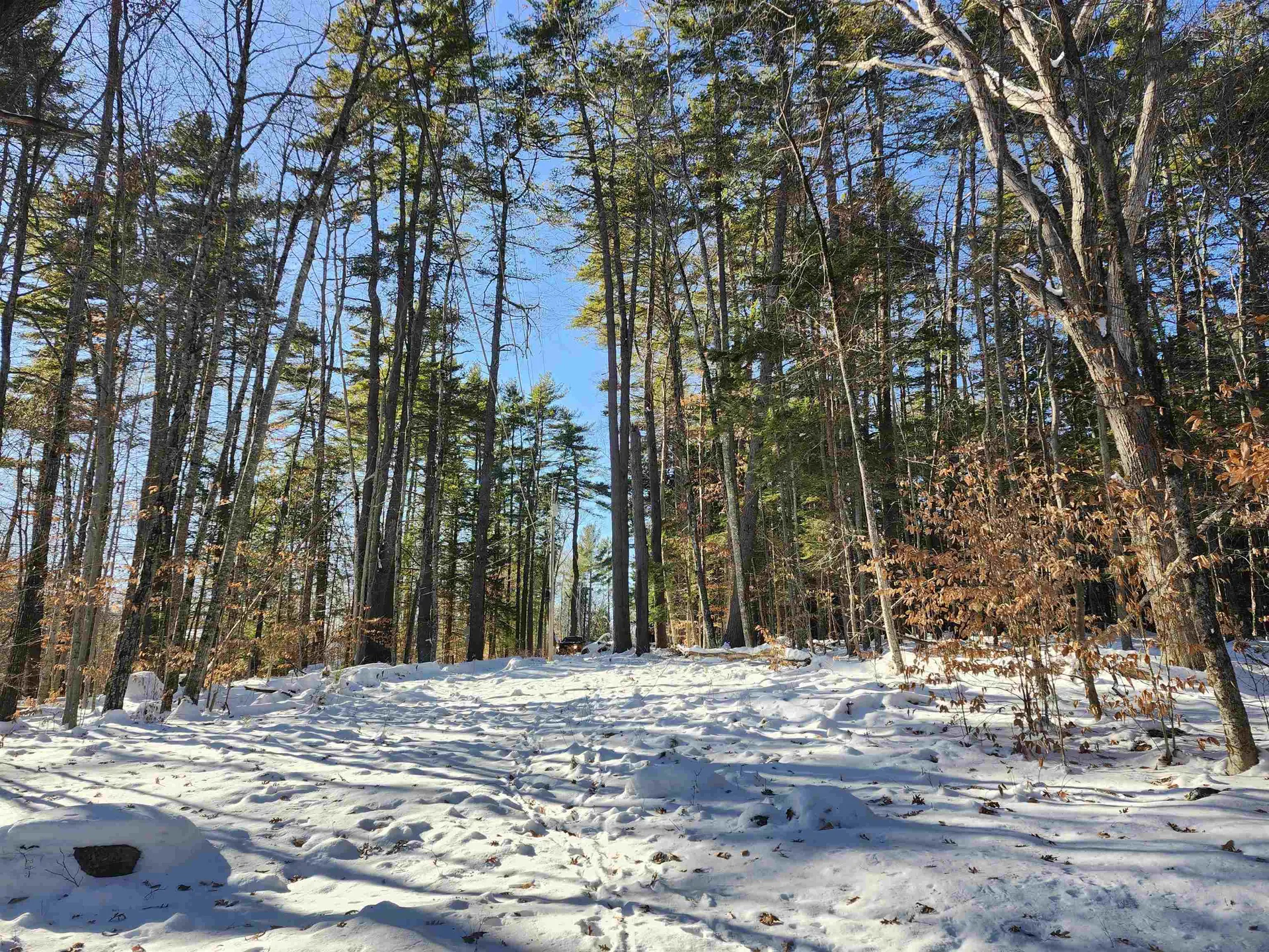 Lot 21 Cummings Cove Road Meredith NH 03253