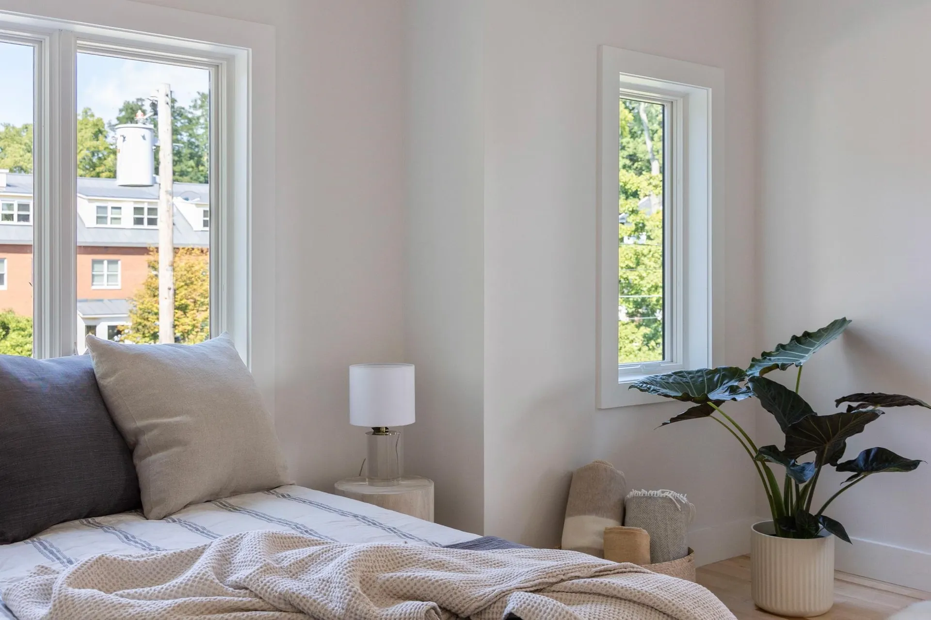 41 Adams Street Burlington VT 05401