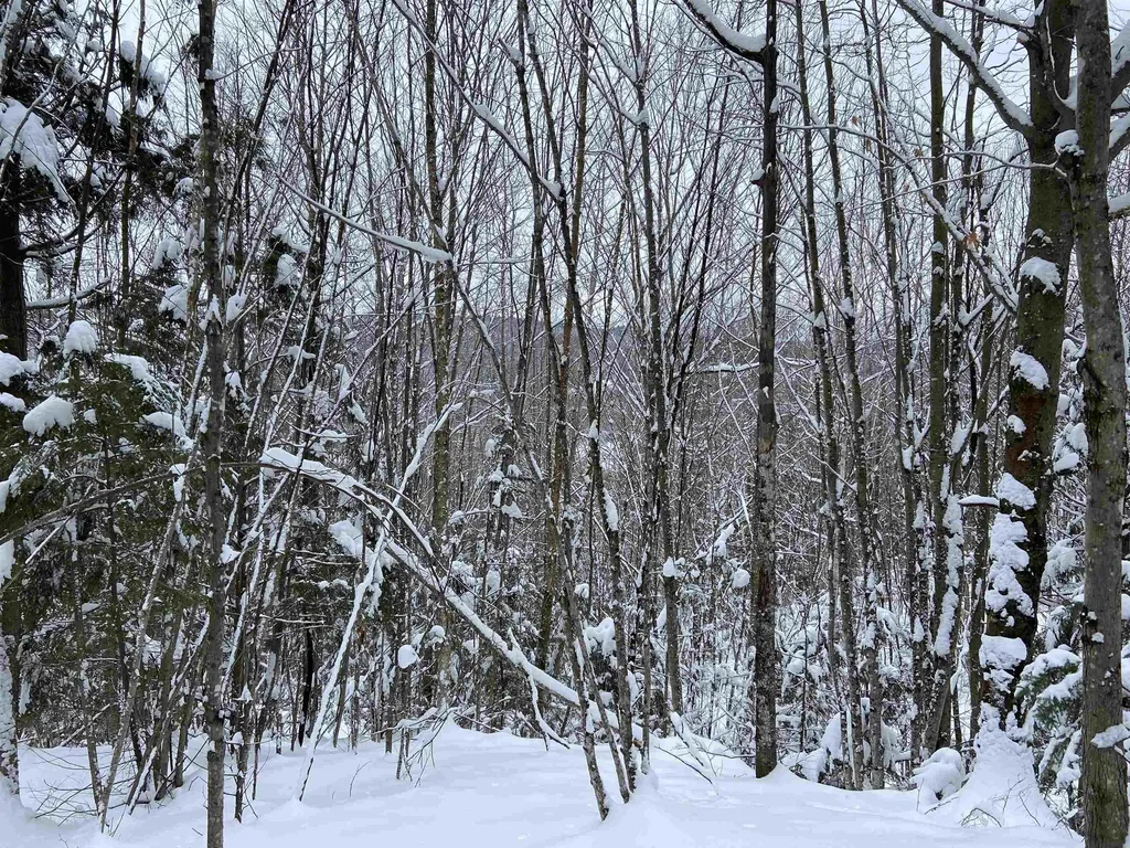 0 Fall Brook Road Wheelock VT 05851-000