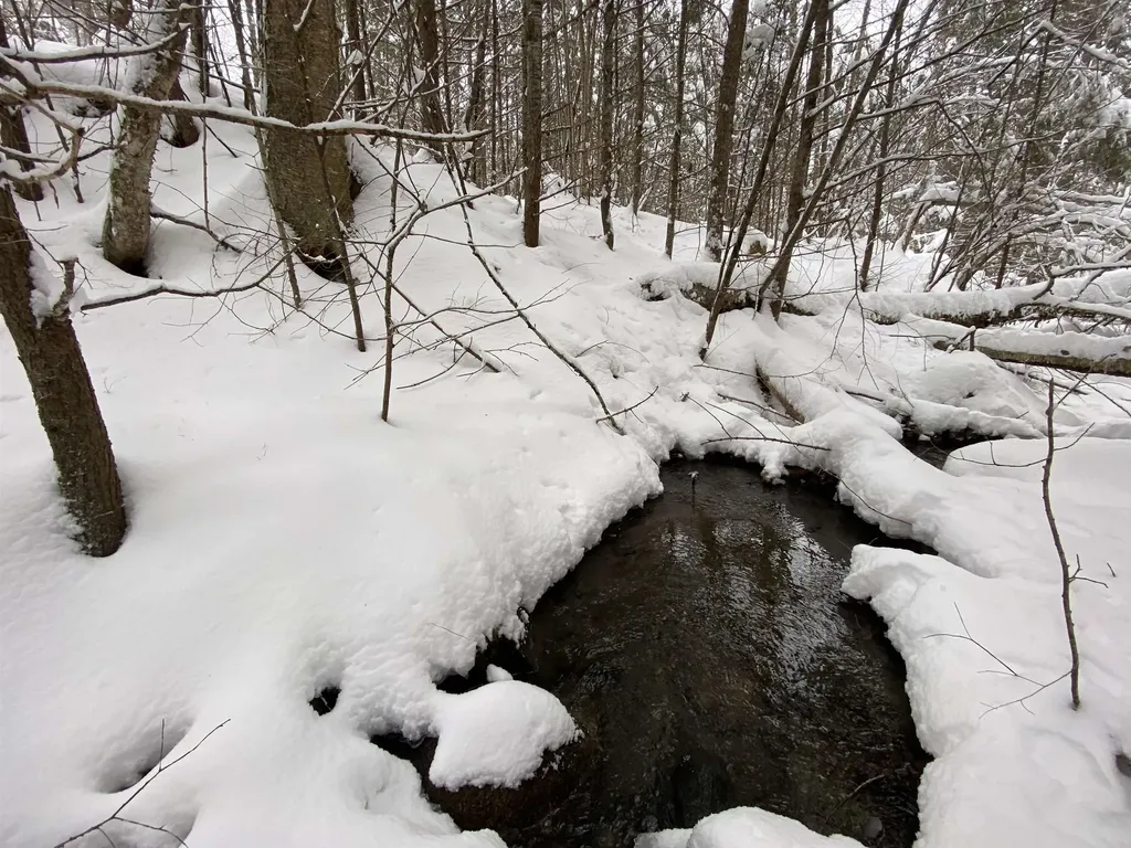 0 Fall Brook Road Wheelock VT 05851-000