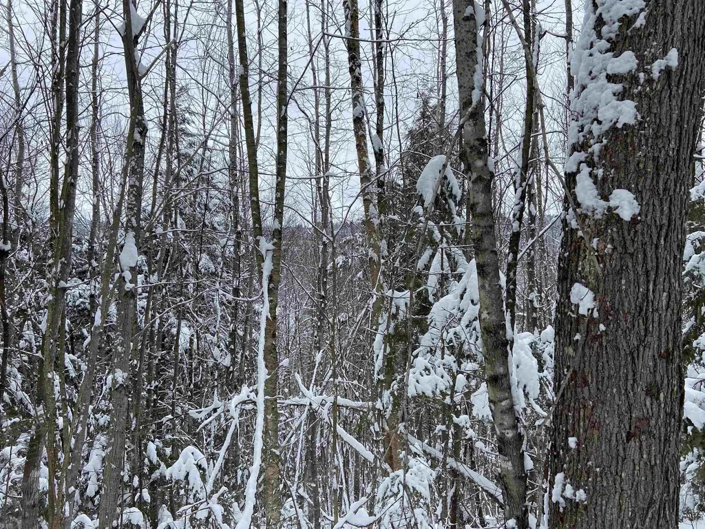 0 Fall Brook Road Wheelock VT 05851-000