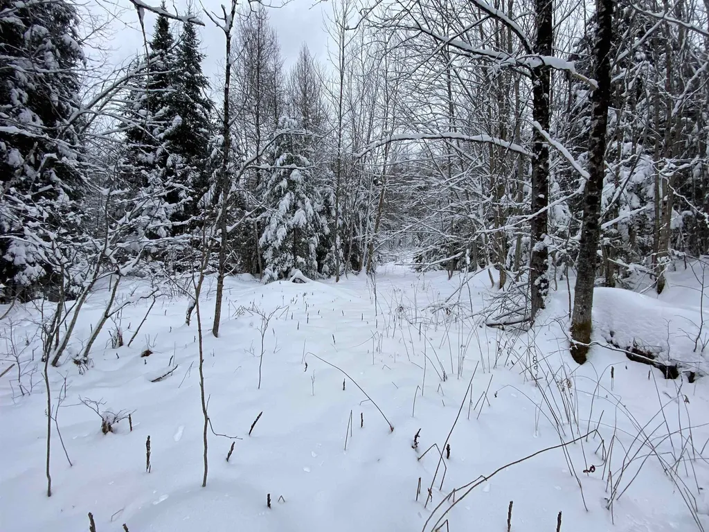 0 Fall Brook Road Wheelock VT 05851-000