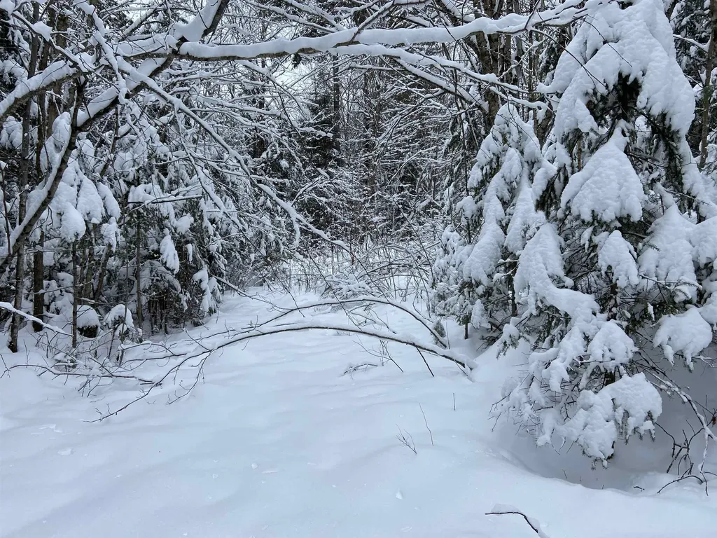 0 Fall Brook Road Wheelock VT 05851-000