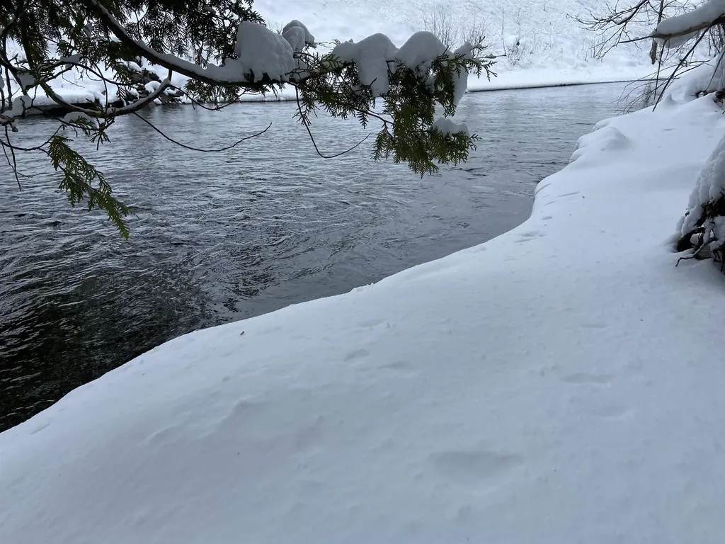 0 Fall Brook Road Wheelock VT 05851-000