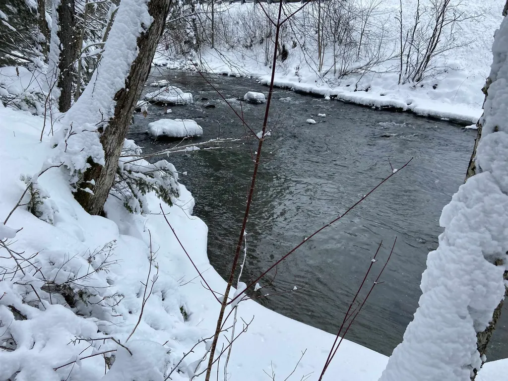 0 Fall Brook Road Wheelock VT 05851-000