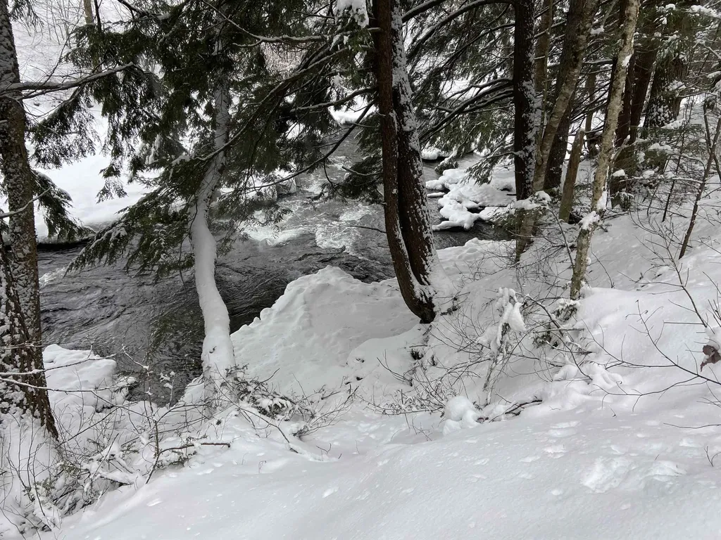 0 Fall Brook Road Wheelock VT 05851-000