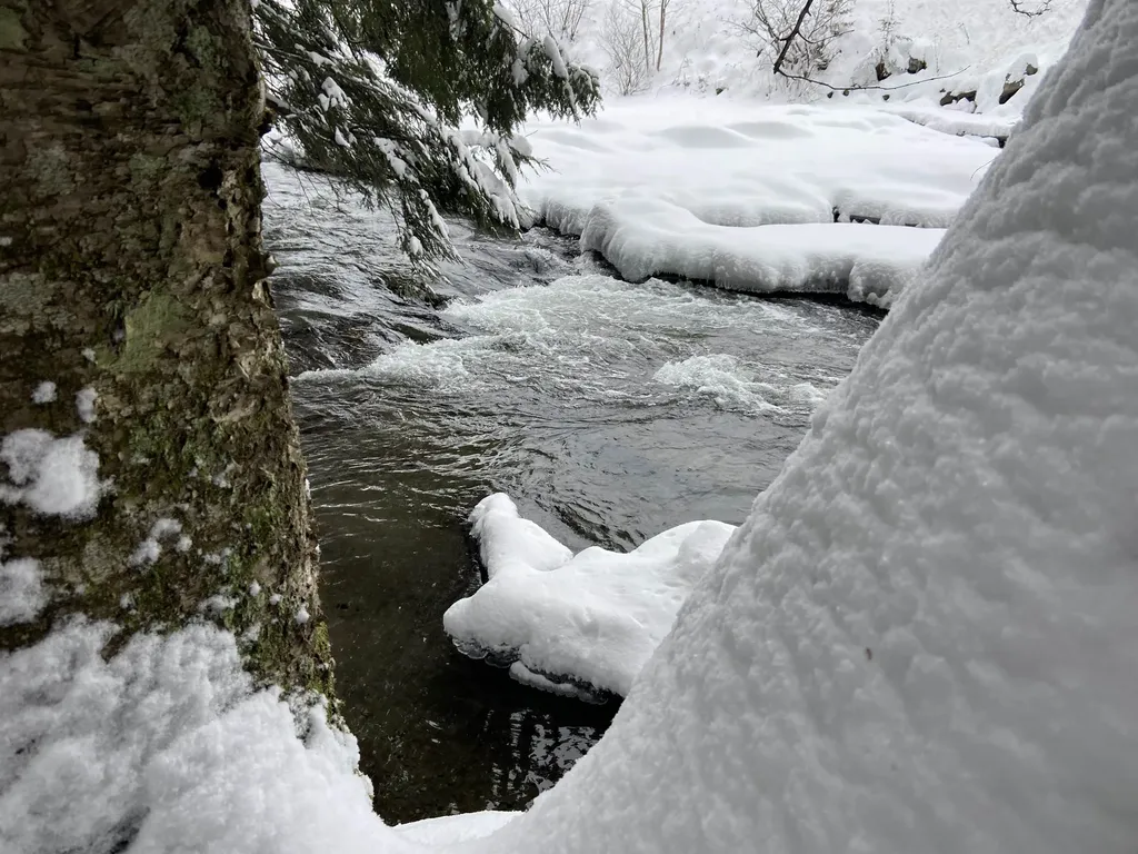 0 Fall Brook Road Wheelock VT 05851-000