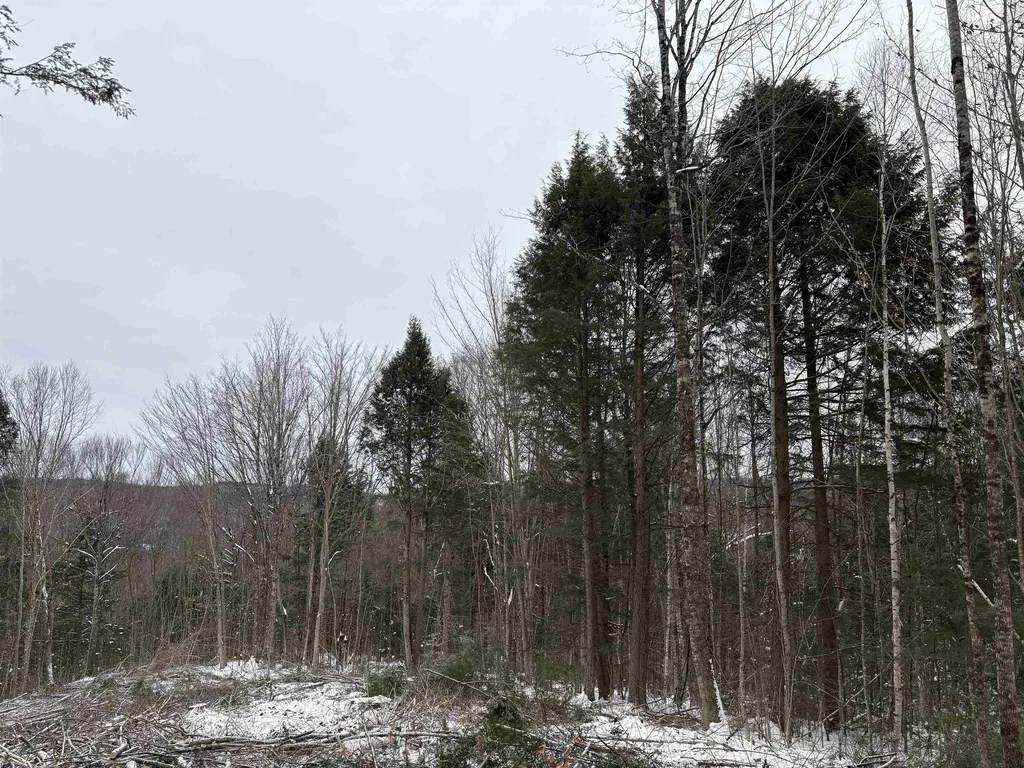 0 Fall Brook Road Wheelock VT 05851-000