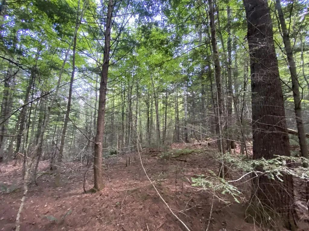 0 Fall Brook Road Wheelock VT 05851-000