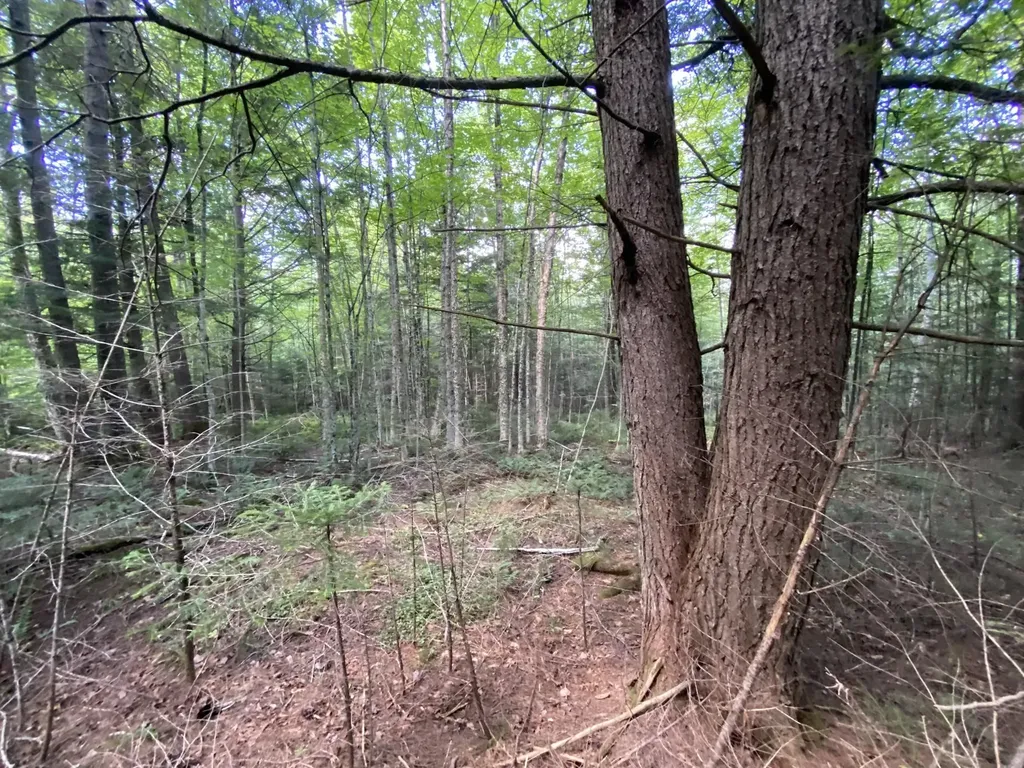 0 Fall Brook Road Wheelock VT 05851-000