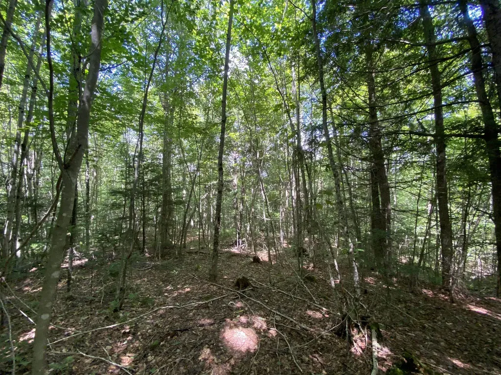 0 Fall Brook Road Wheelock VT 05851-000