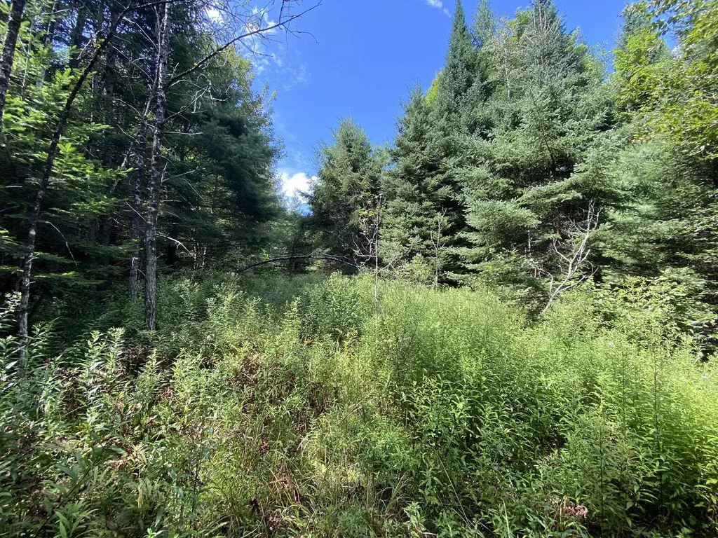 0 Fall Brook Road Wheelock VT 05851-000