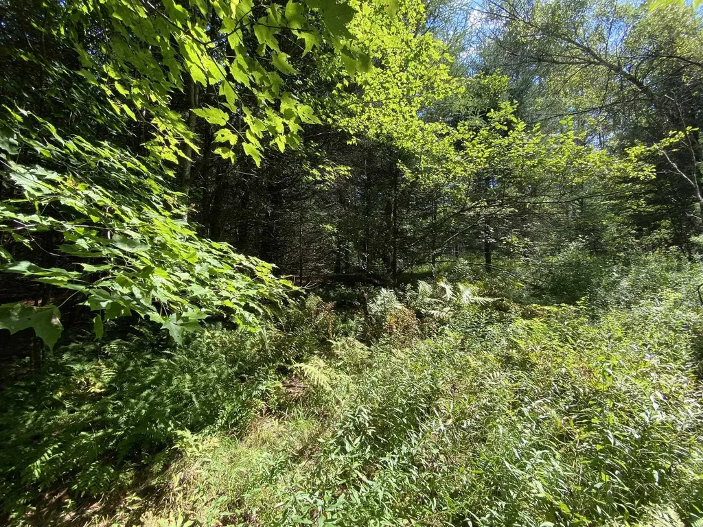 0 Fall Brook Road Wheelock VT 05851-000