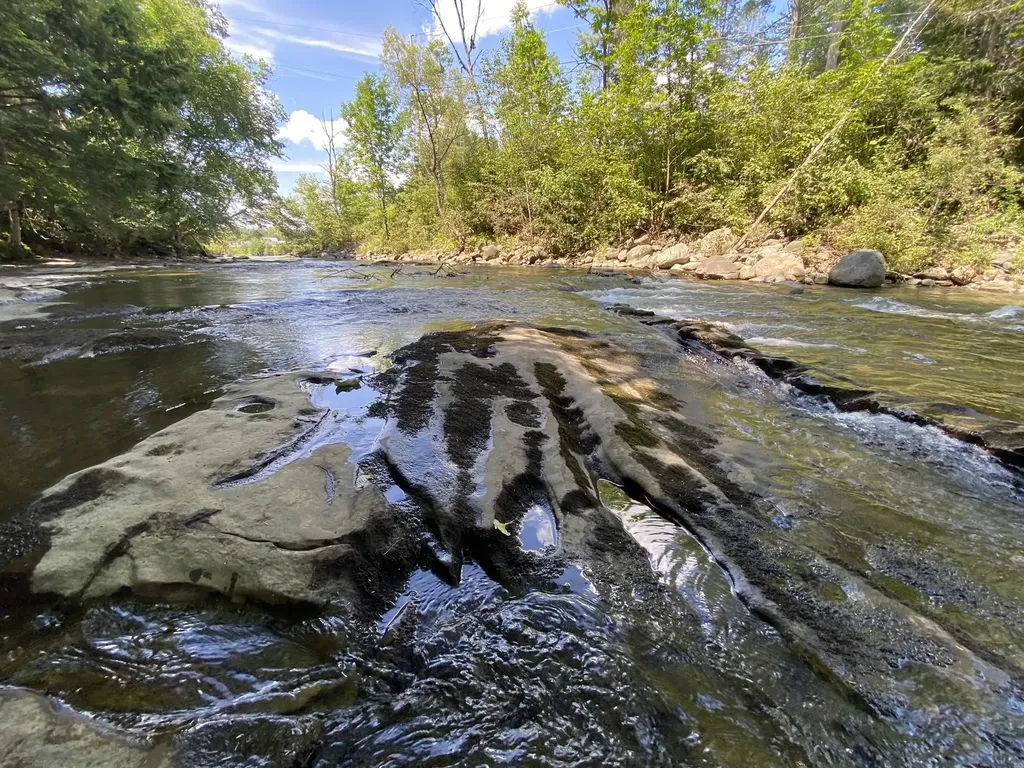 0 Fall Brook Road Wheelock VT 05851-000