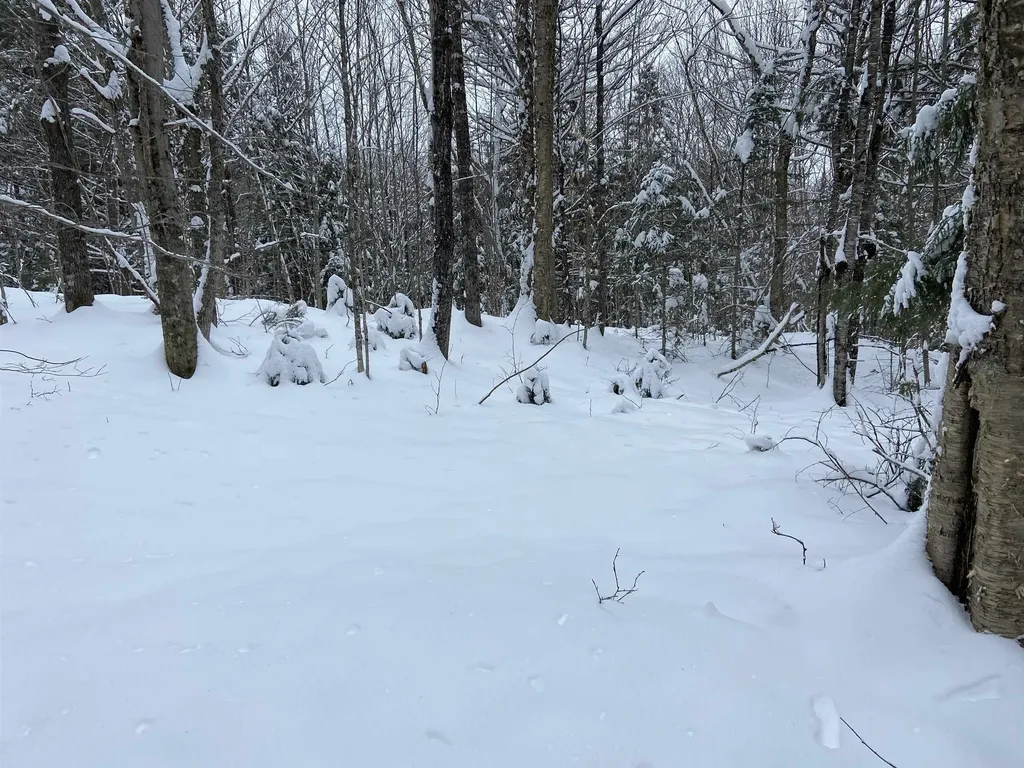 0 Fall Brook Road Wheelock VT 05851-000