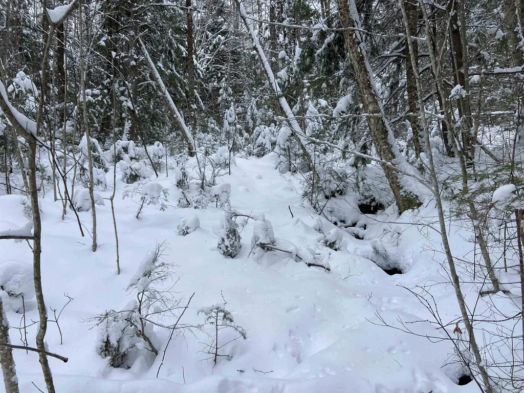 0 Fall Brook Road Wheelock VT 05851-000