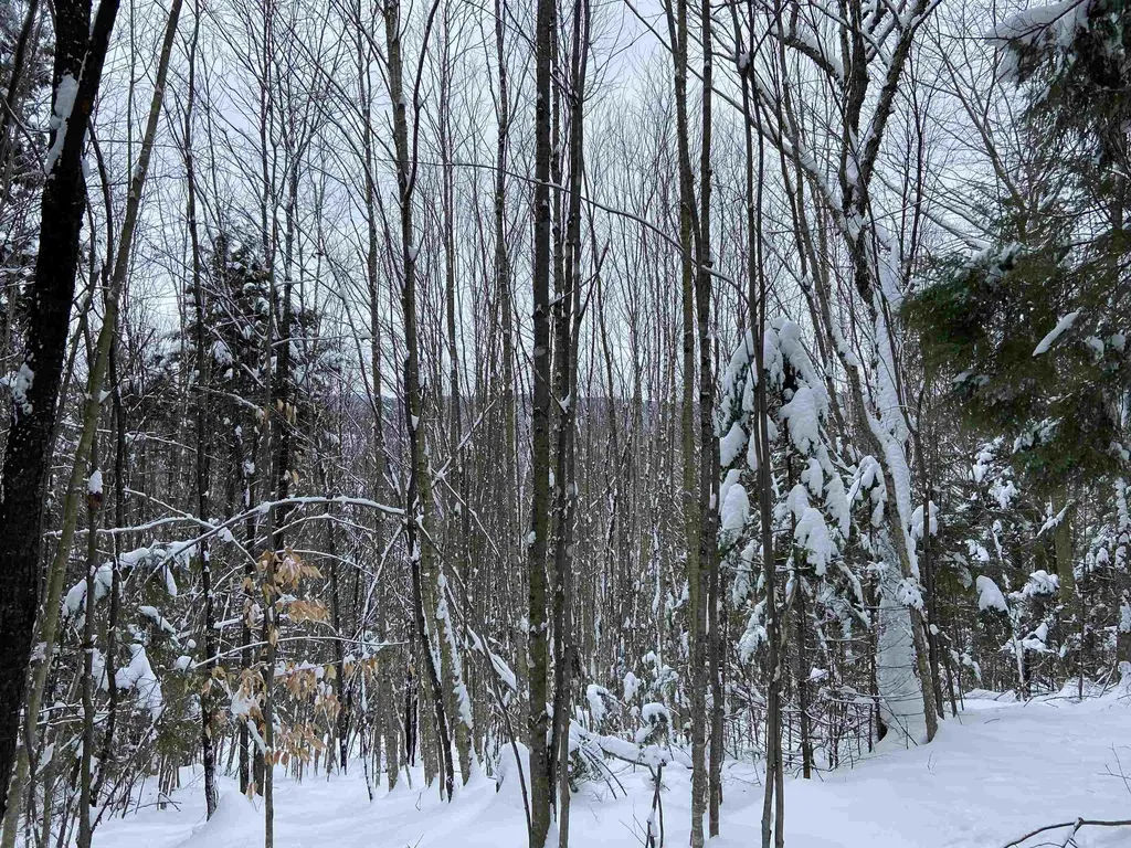 0 Fall Brook Road Wheelock VT 05851-000