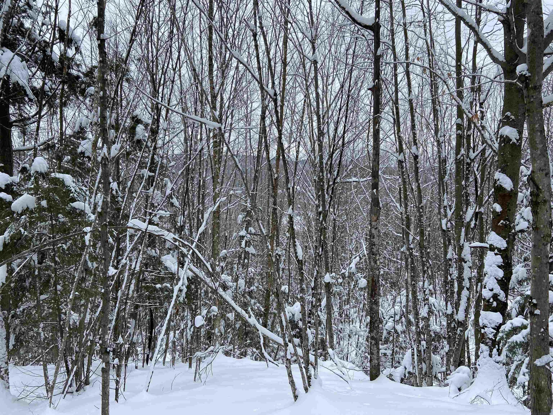 0 Fall Brook Road Wheelock VT 05851-000