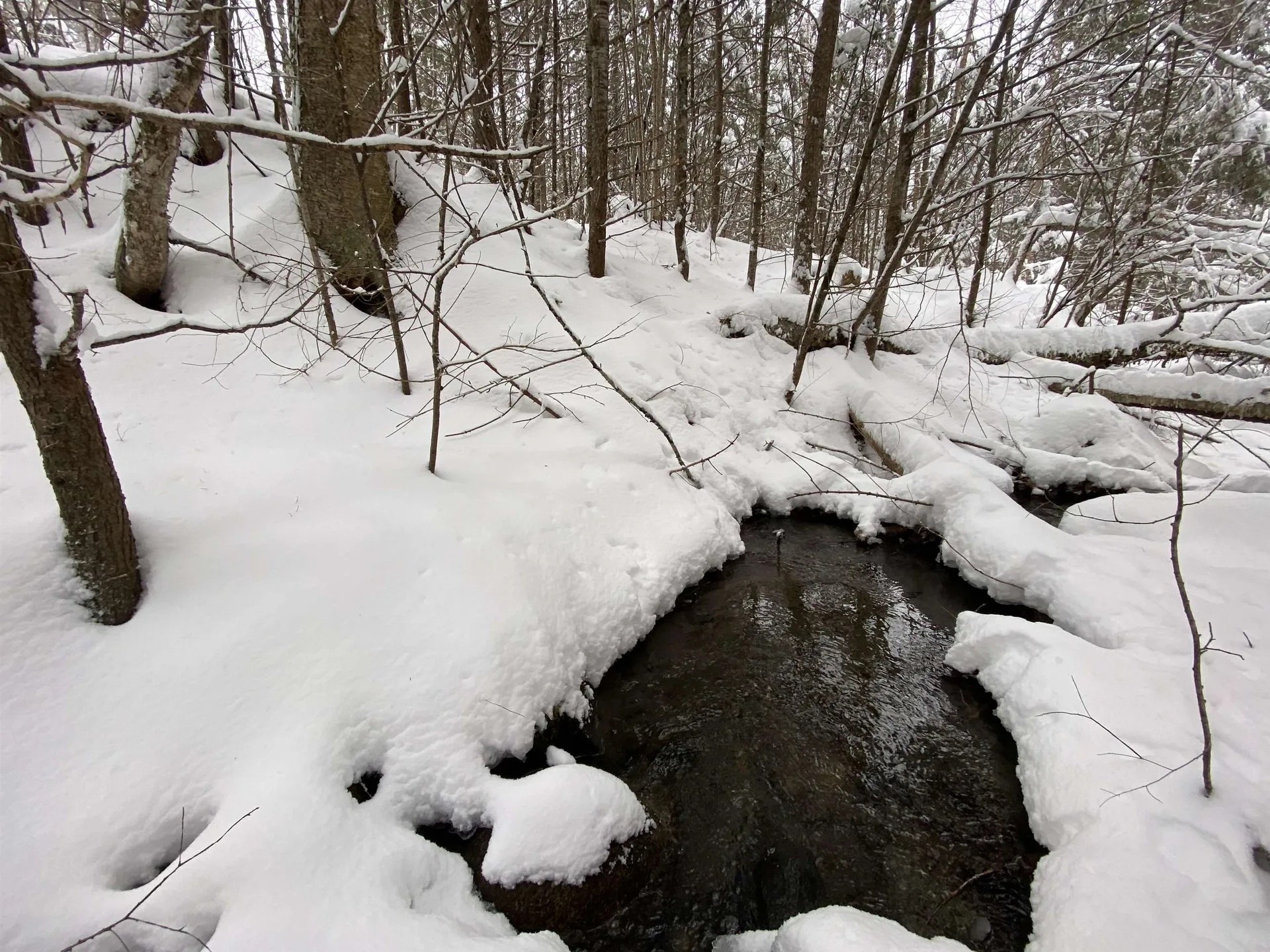 0 Fall Brook Road Wheelock VT 05851-000