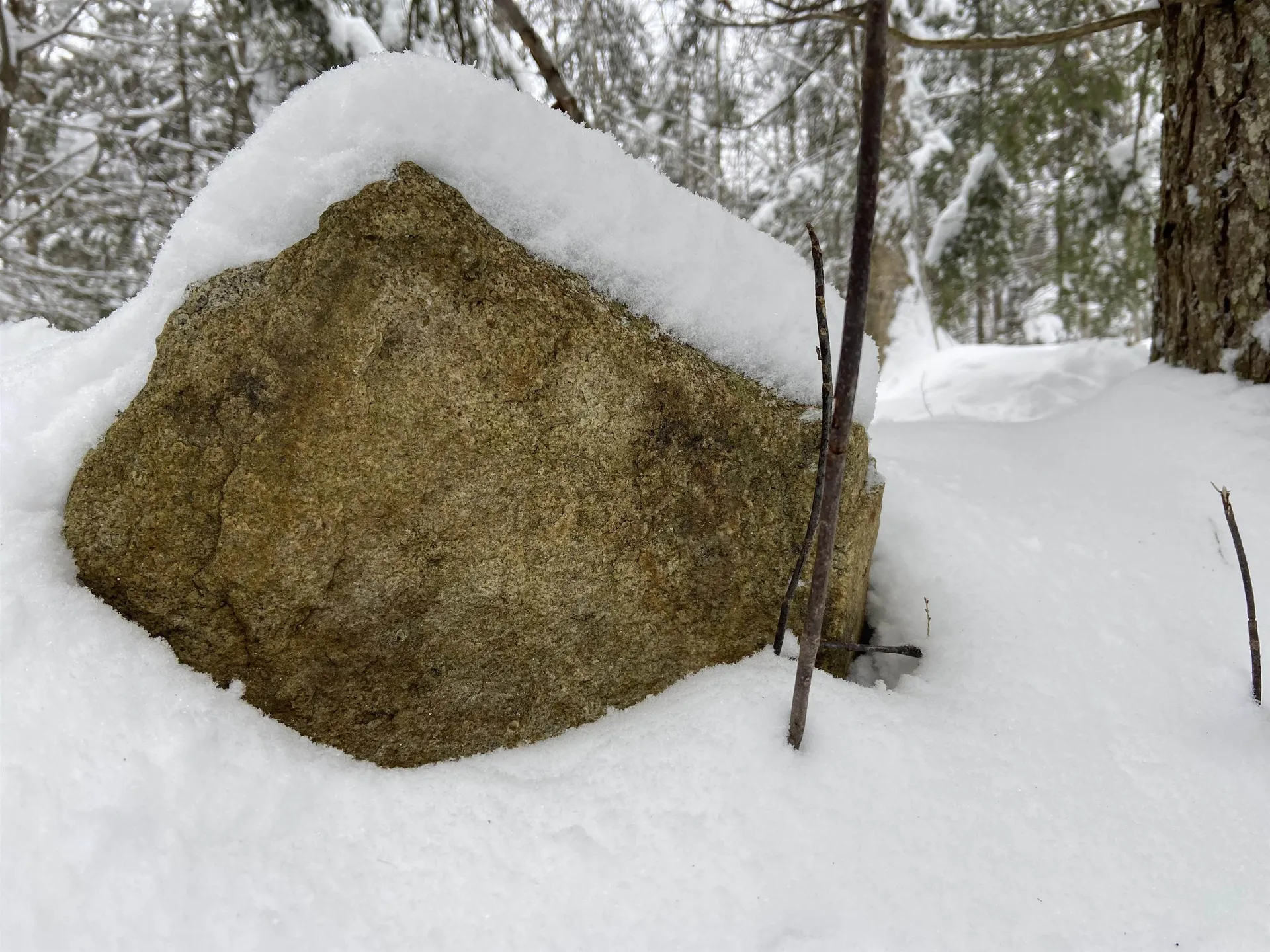 0 Fall Brook Road Wheelock VT 05851-000