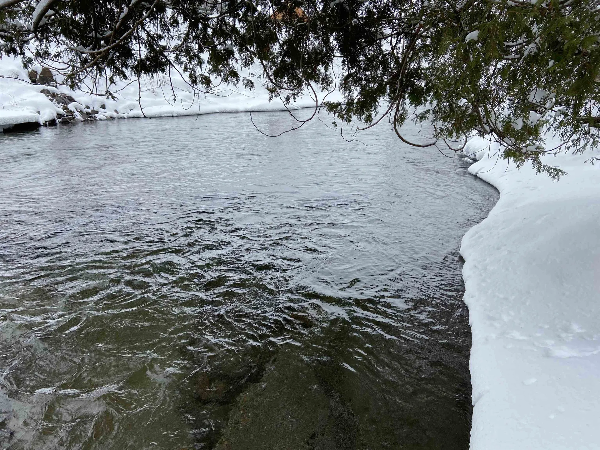 0 Fall Brook Road Wheelock VT 05851-000