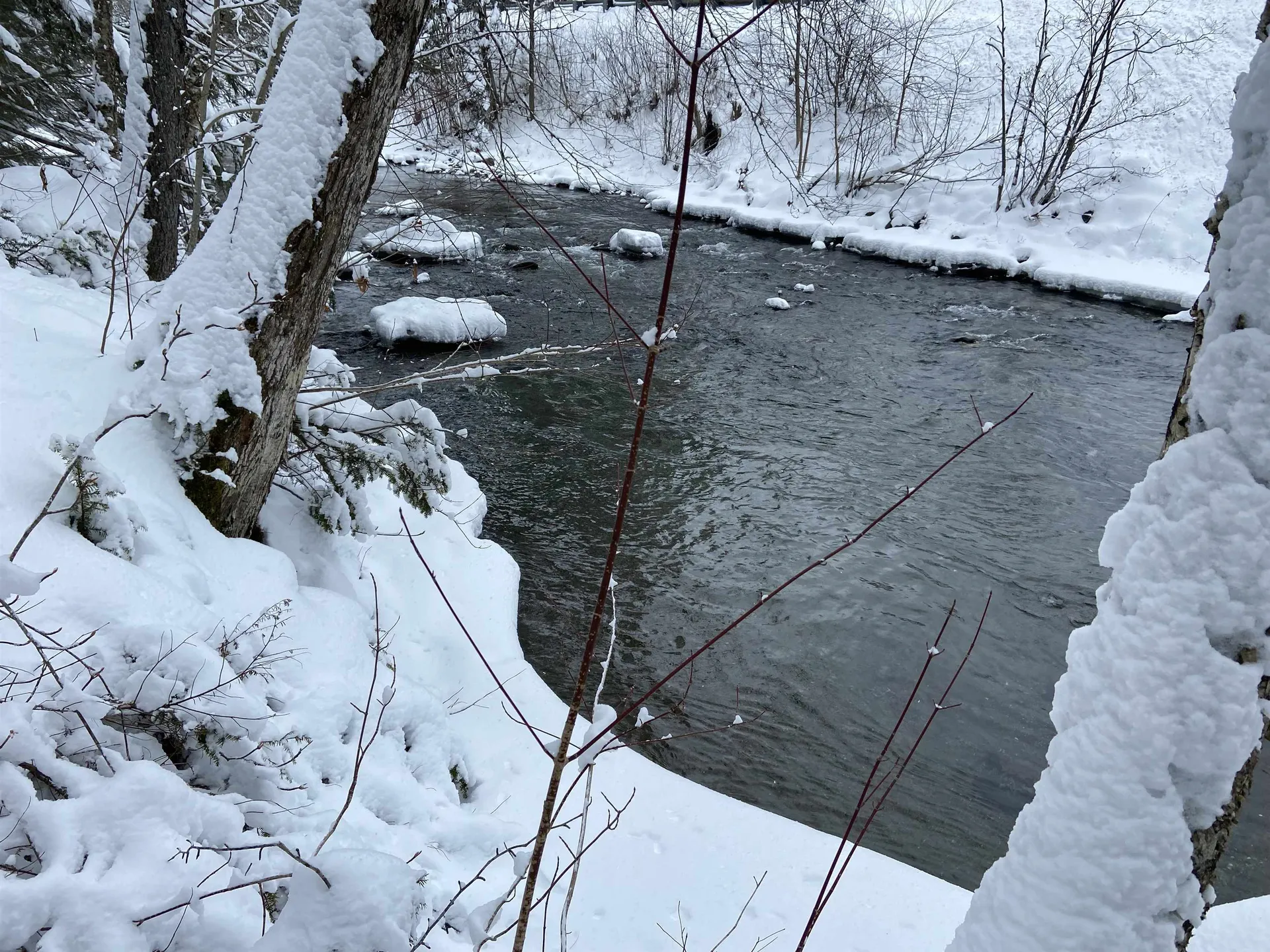 0 Fall Brook Road Wheelock VT 05851-000