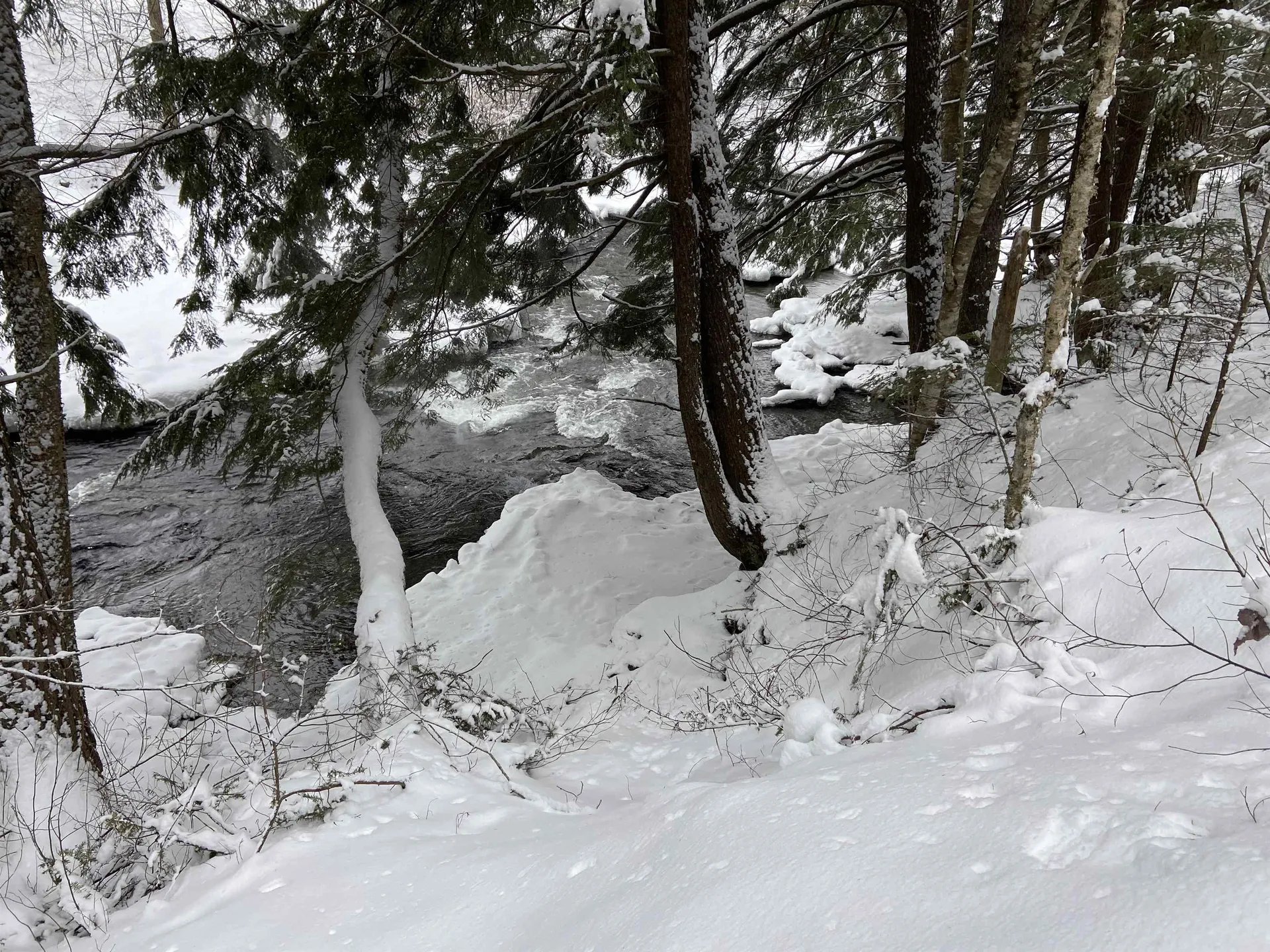 0 Fall Brook Road Wheelock VT 05851-000