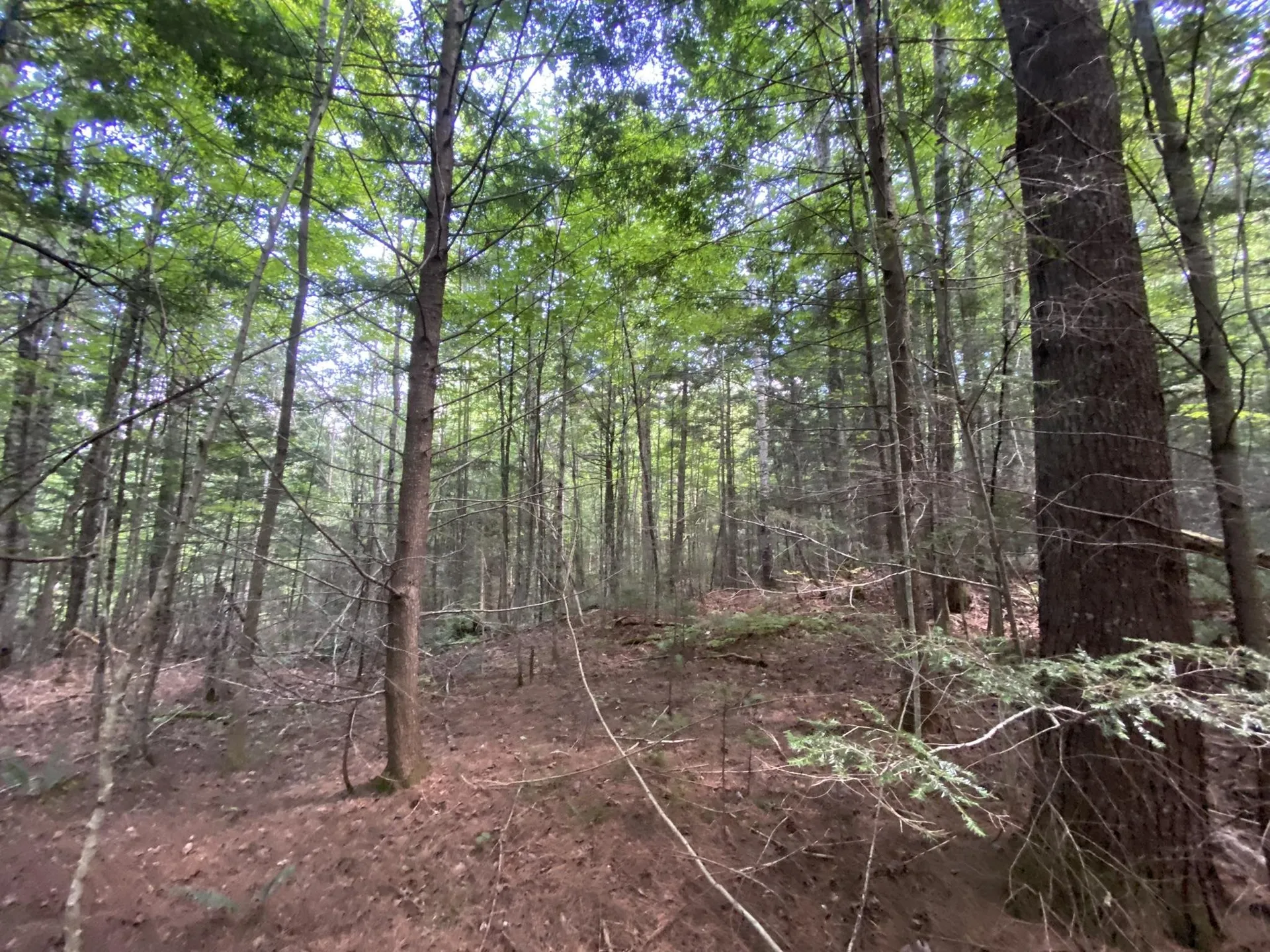 0 Fall Brook Road Wheelock VT 05851-000