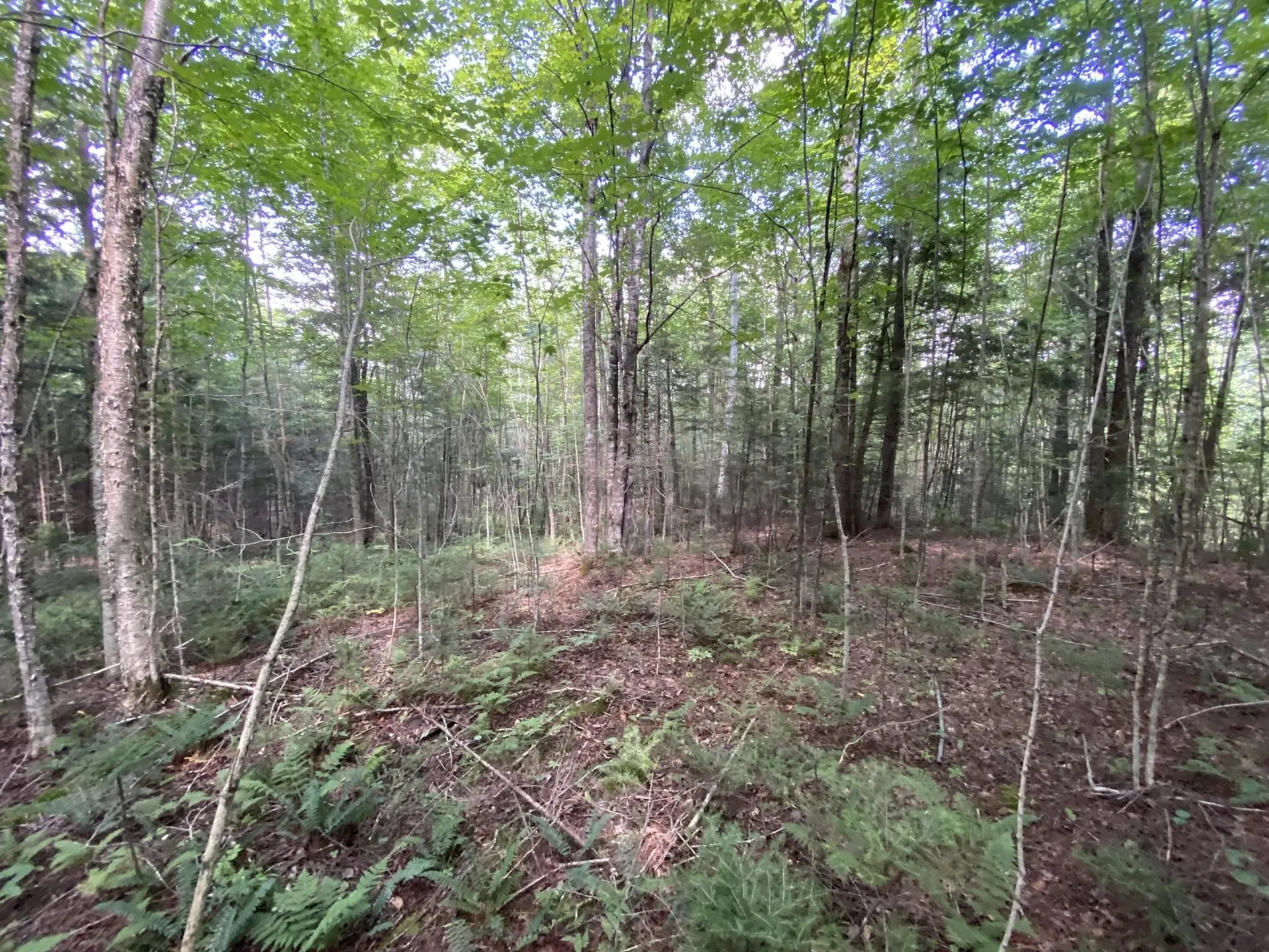 0 Fall Brook Road Wheelock VT 05851-000