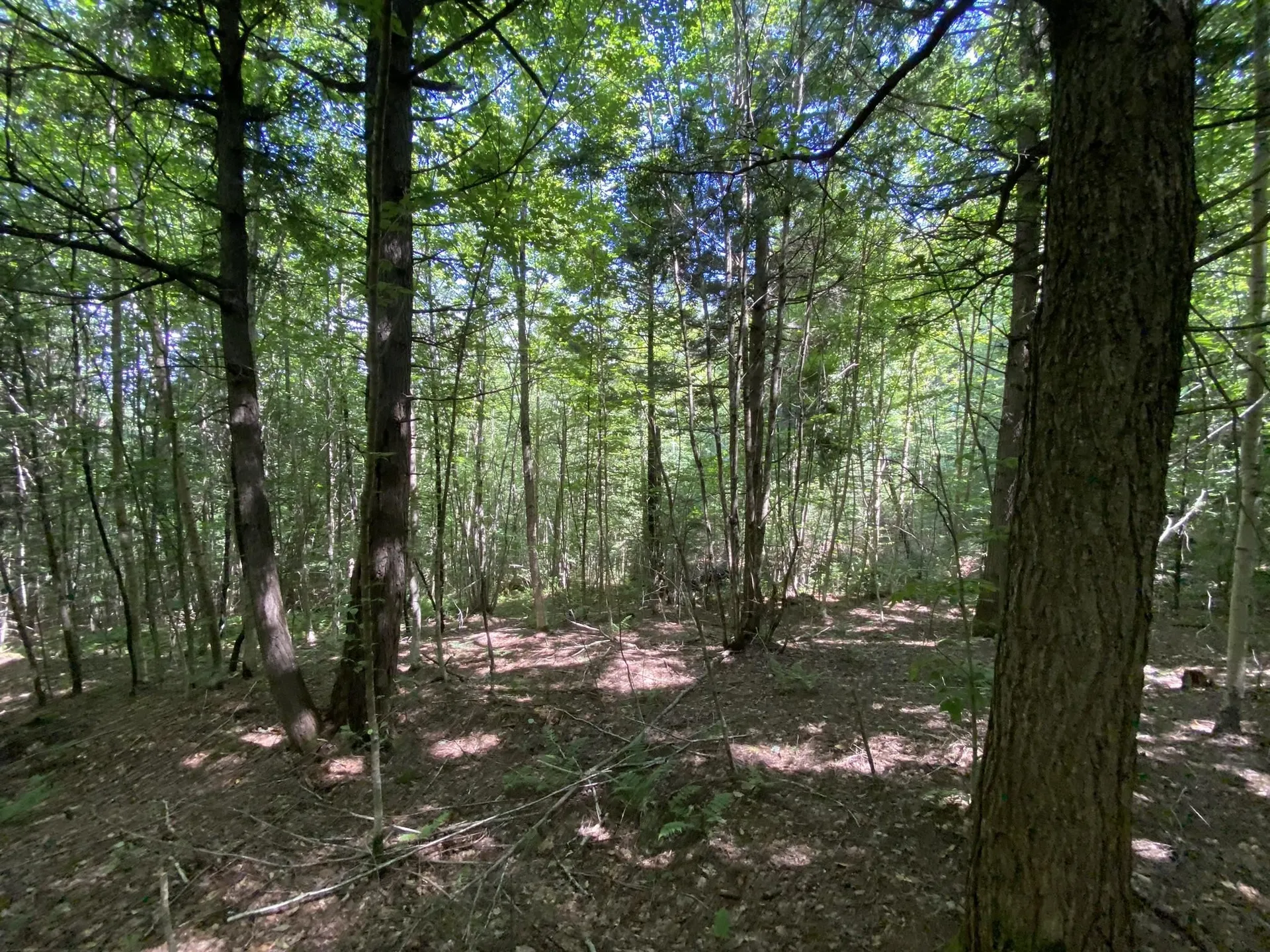 0 Fall Brook Road Wheelock VT 05851-000