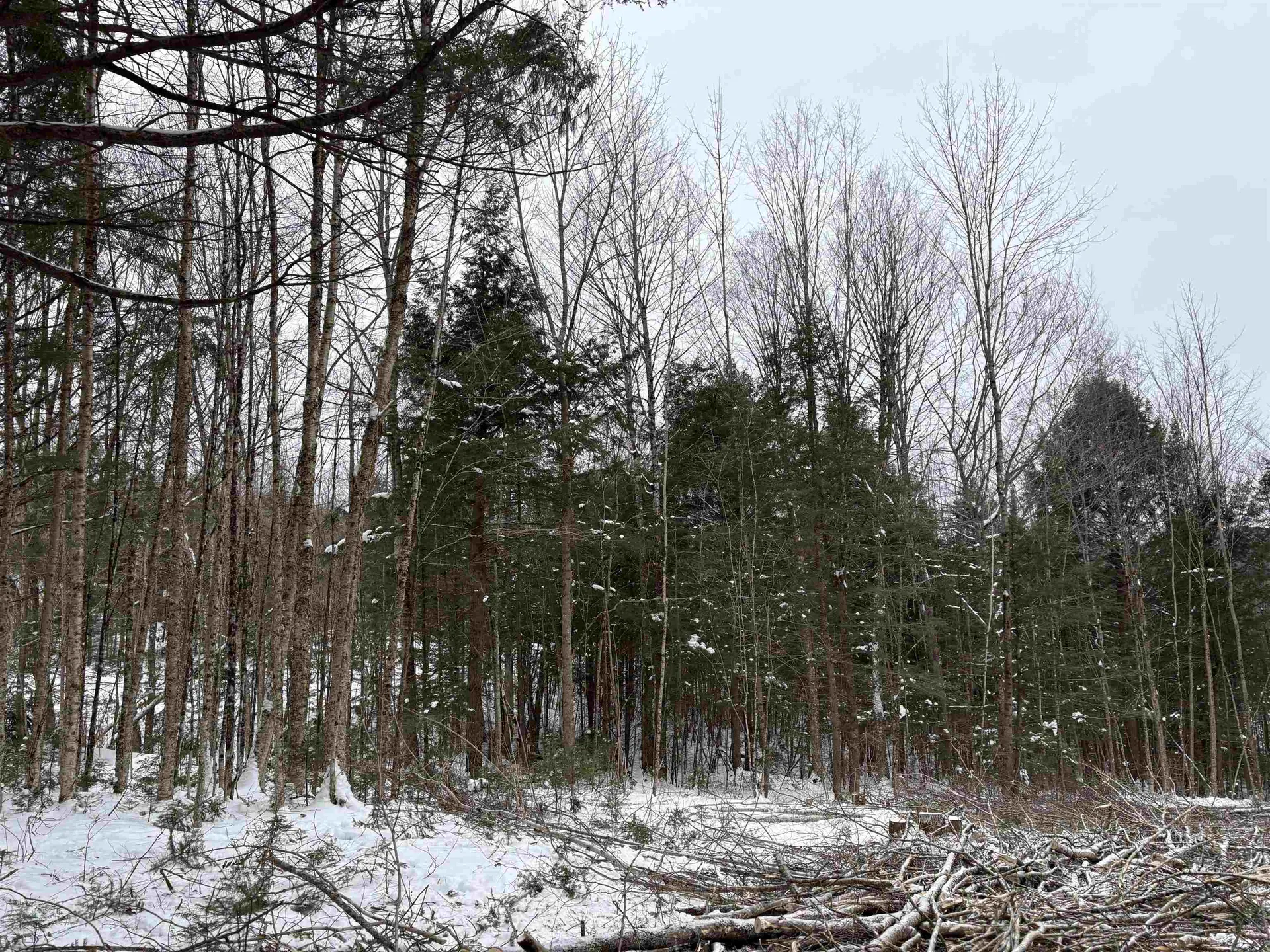 0 Fall Brook Road Wheelock VT 05851-000