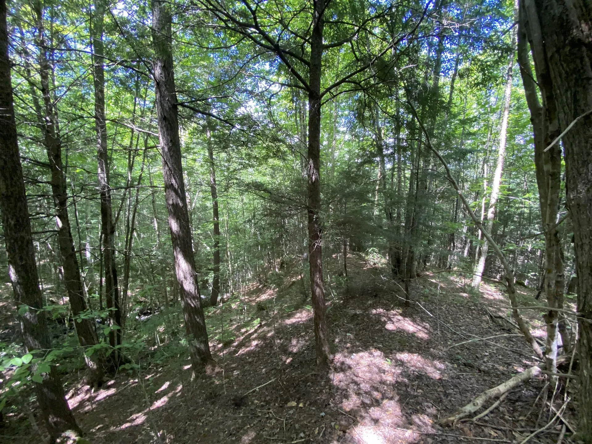 0 Fall Brook Road Wheelock VT 05851-000