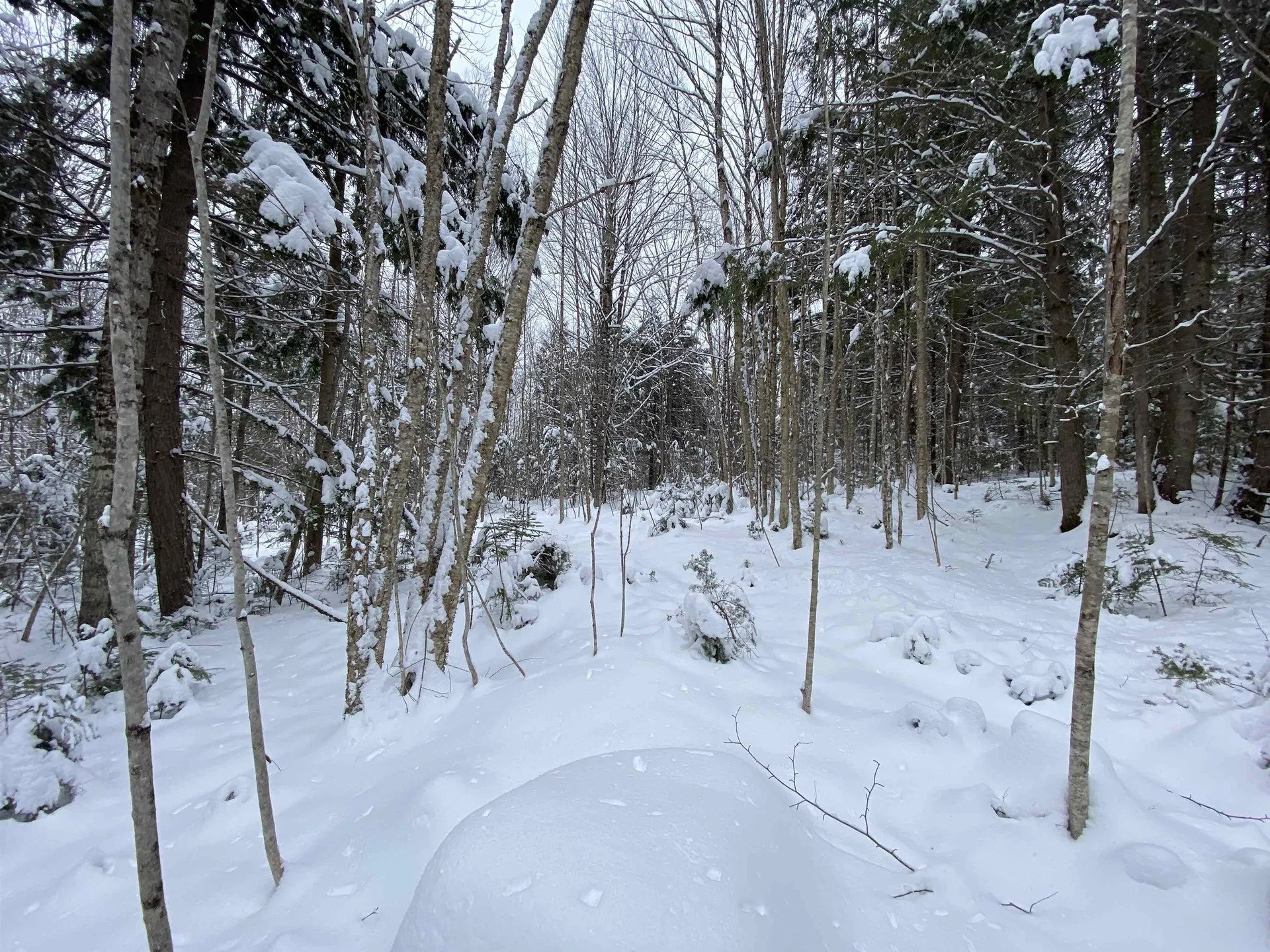 0 Fall Brook Road Wheelock VT 05851-000