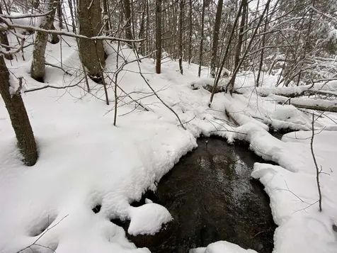 0 Fall Brook Road Wheelock VT 05851-000